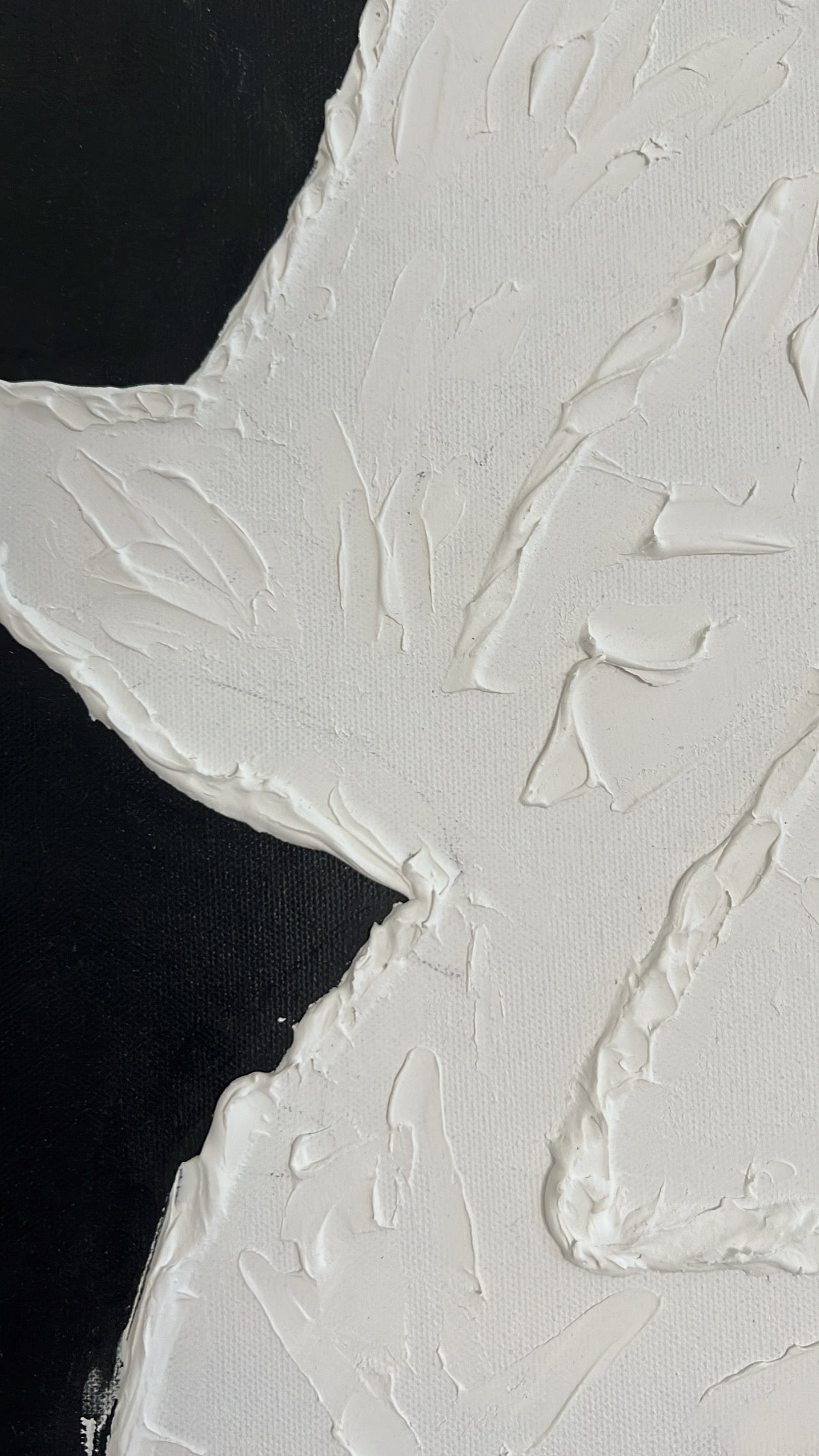 Split Shadow